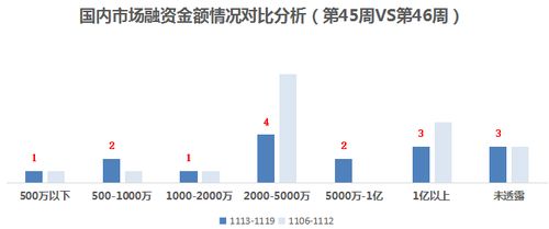 誰說性感只能有維密一種 neiwai內外獲7000萬B輪融資，推動融資性擔保視角下的內衣行業變革