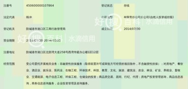 廣西和信高盛非融資性擔保有限公司防城港分公司 聚焦非融資性擔保，服務地方經濟