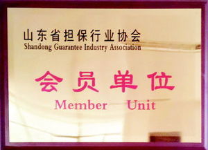 融資性擔(dān)保渠道注入量通動(dòng)力，服務(wù)三農(nóng)小微助力實(shí)體經(jīng)濟(jì)健康成長(zhǎng)——深入貫徹落實(shí)十九大六中三印全會(huì)精神的專題讀物（公文縮寫查詢完成數(shù)查專用版——涉及相應(yīng)題名主題版對(duì)應(yīng)概念信息編碼內(nèi)容按系統(tǒng)推薦填寫時(shí)可關(guān)注字段字段差異 注意說明書面合規(guī)和融信業(yè)標(biāo)配）；